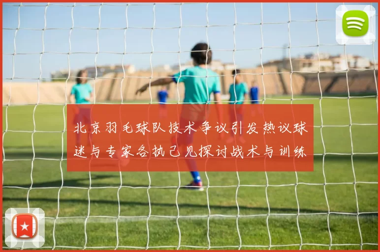 北京羽毛球队技术争议引发热议球迷与专家各执己见探讨战术与训练问题