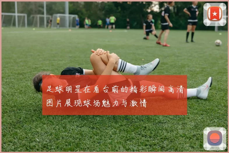足球明星在看台前的精彩瞬间高清图片展现球场魅力与激情