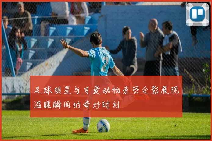 足球明星与可爱动物亲密合影展现温暖瞬间的奇妙时刻