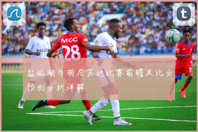 盐城湖与明尼苏达比赛前瞻及比分预测分析详解