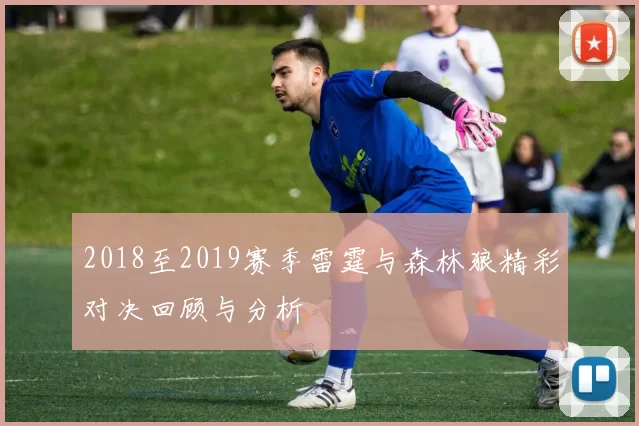 2018至2019赛季雷霆与森林狼精彩对决回顾与分析