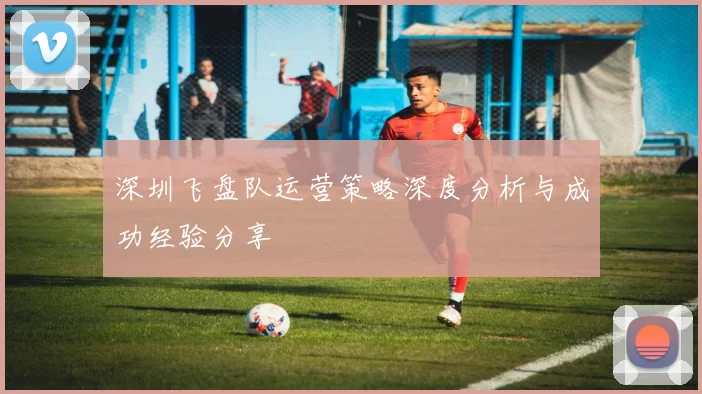深圳飞盘队运营策略深度分析与成功经验分享