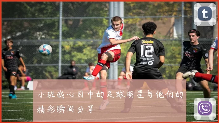 小班我心目中的足球明星与他们的精彩瞬间分享