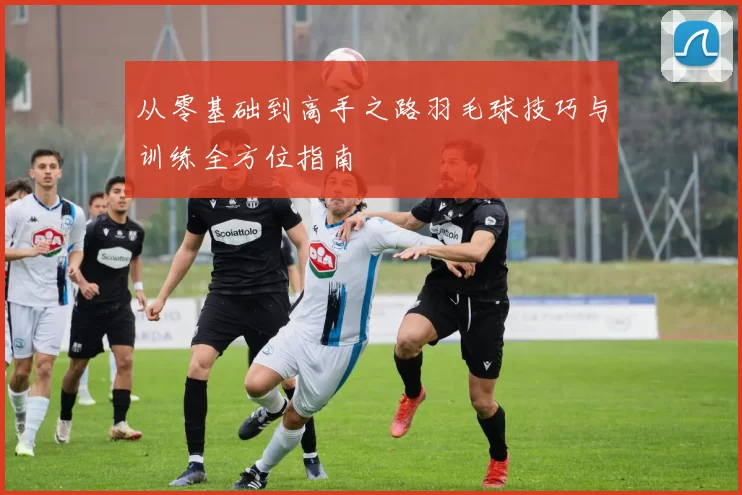 从零基础到高手之路羽毛球技巧与训练全方位指南
