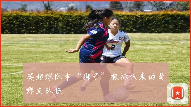 英超球队中“狮子”徽标代表的是哪支队伍