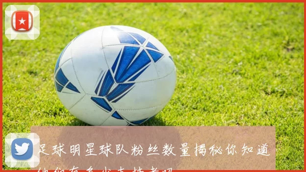 足球明星球队粉丝数量揭秘你知道他们有多少支持者吗