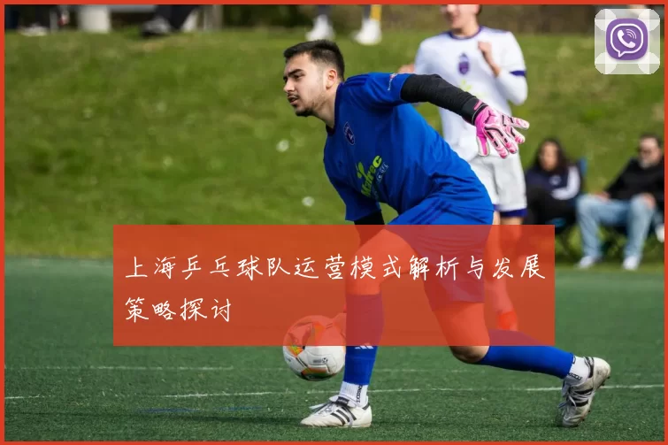 上海乒乓球队运营模式解析与发展策略探讨