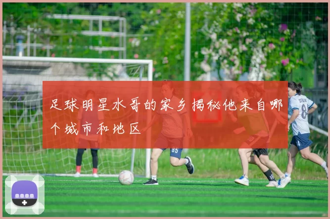 足球明星水哥的家乡揭秘他来自哪个城市和地区