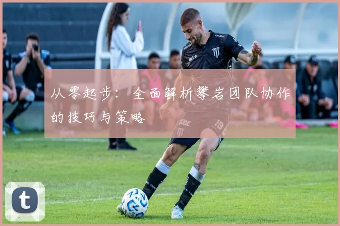 从零起步：全面解析攀岩团队协作的技巧与策略