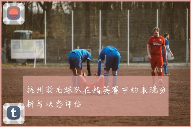 杭州羽毛球队在精英赛中的表现分析与状态评估