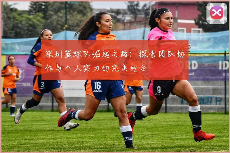 深圳篮球队崛起之路：探索团队协作与个人实力的完美结合