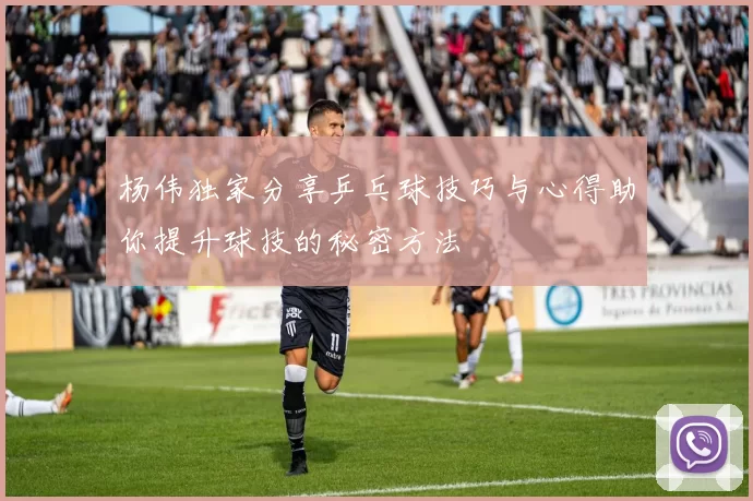 杨伟独家分享乒乓球技巧与心得助你提升球技的秘密方法