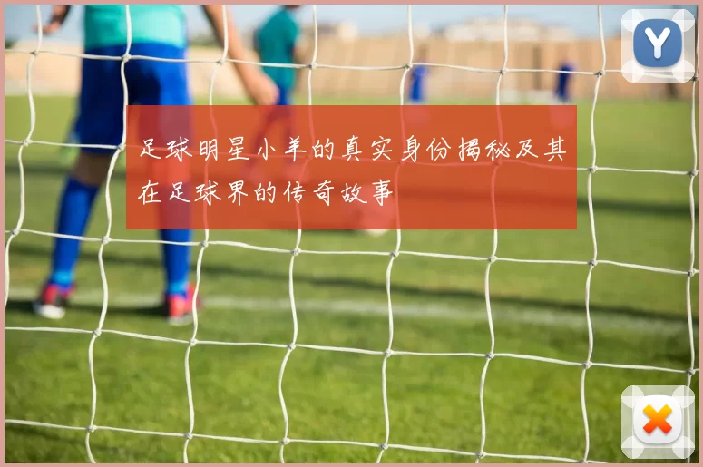 足球明星小羊的真实身份揭秘及其在足球界的传奇故事