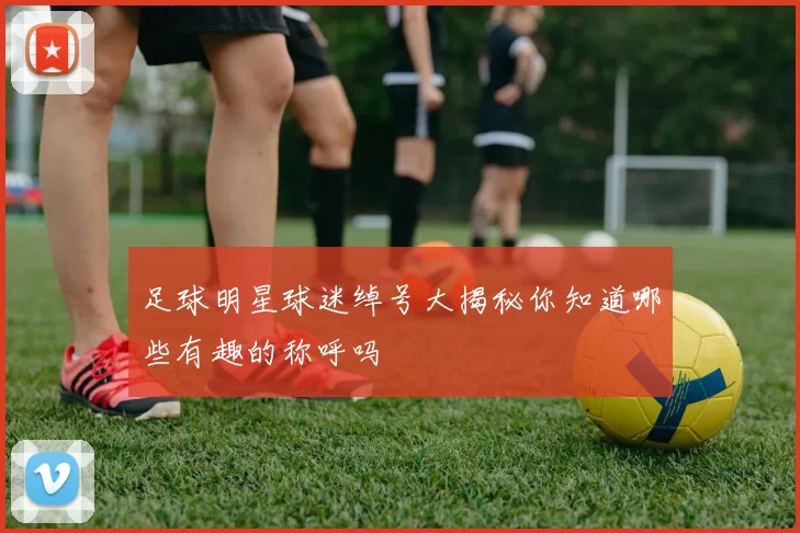 足球明星球迷绰号大揭秘你知道哪些有趣的称呼吗